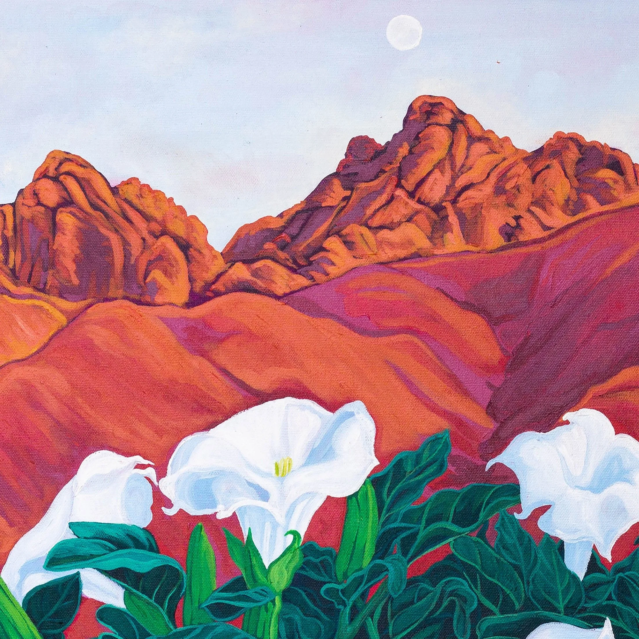 Montana Wildflowers<br/>24
